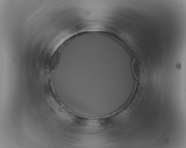 X0000113231457200910011358