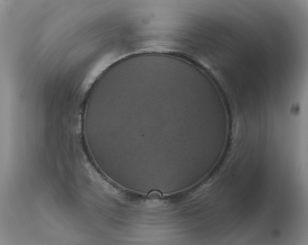 X0000113231459200910011358