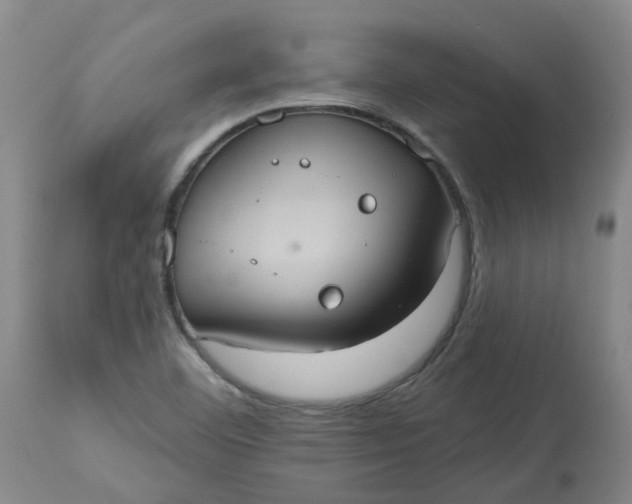 X0000113231460200910011358