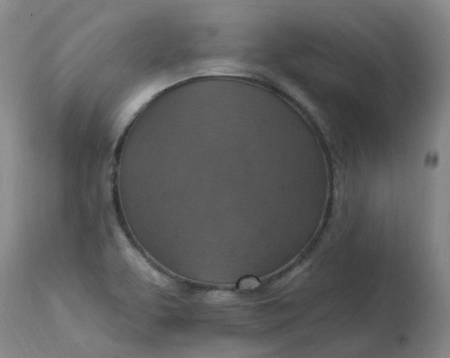 X0000113231463200910011358