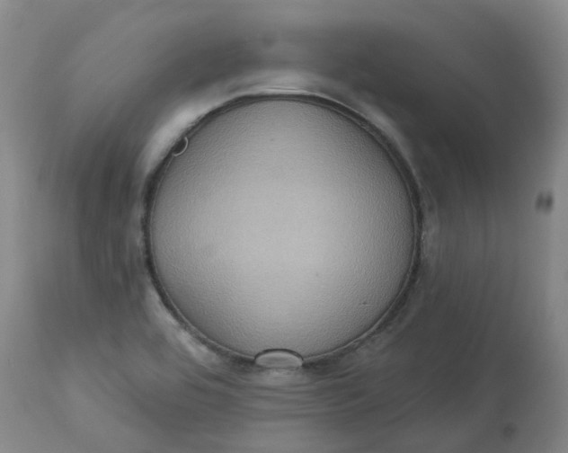 X0000113231464200910011358