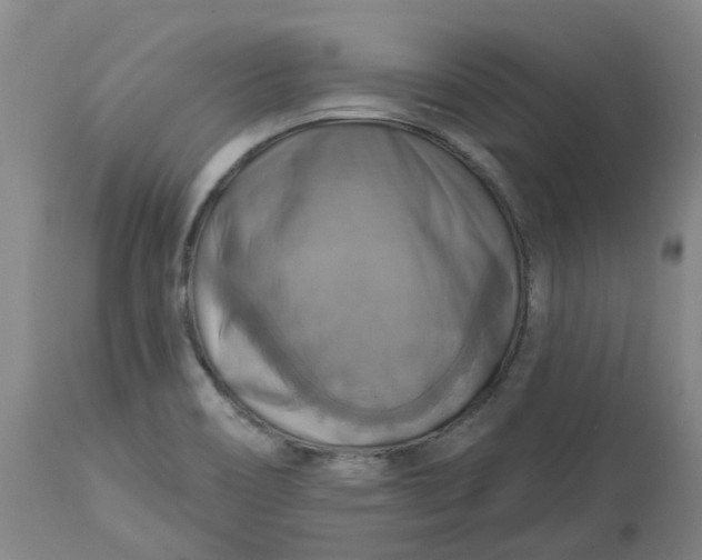 X0000113231466200910011358