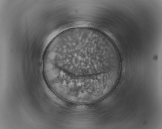 X0000113231467200910011358