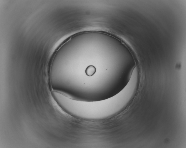 X0000113231468200910011358