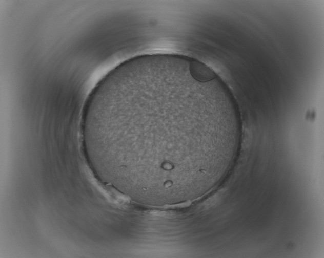 X0000113231469200910011358