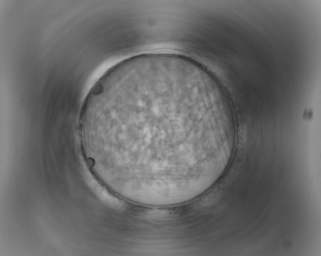 X0000113231470200910011358