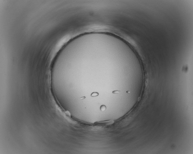 X0000113231472200910011358