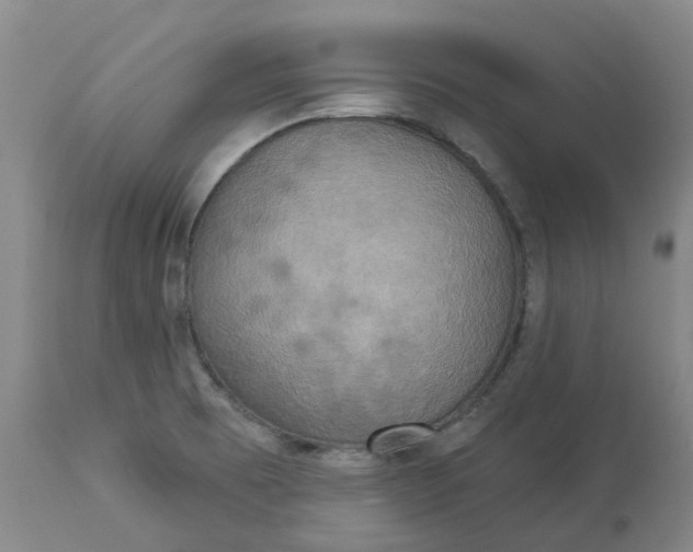 X0000113231473200910011358