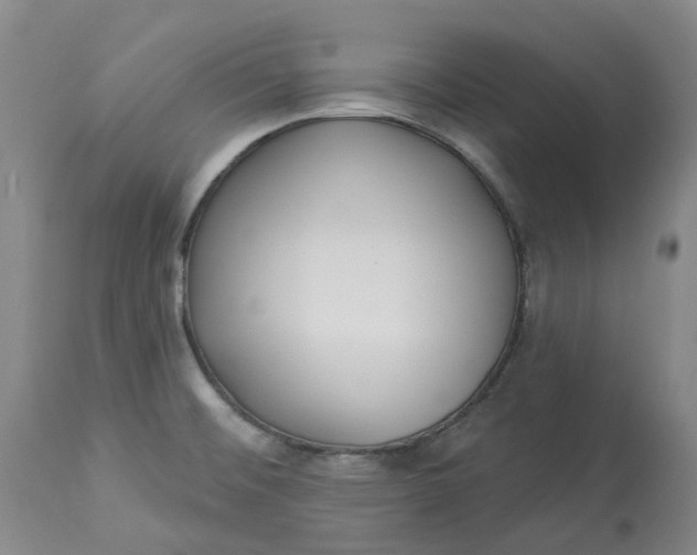 X0000113231476200910011358