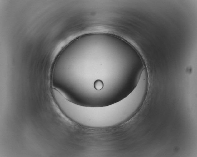 X0000113231477200910011358