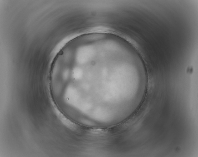 X0000113231478200910011358