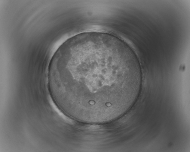 X0000113231479200910011357