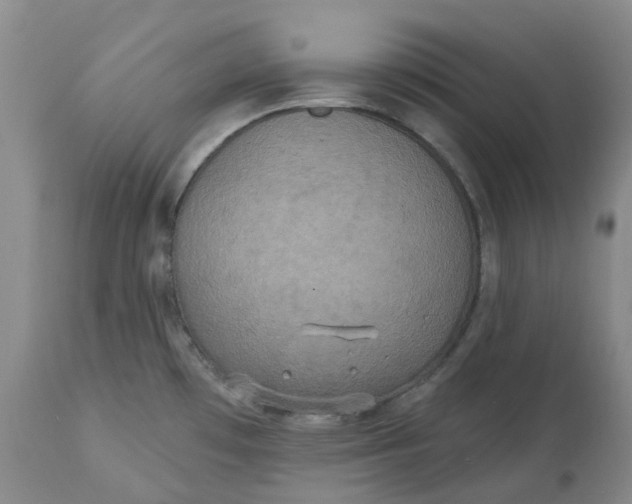 X0000113231481200910011357