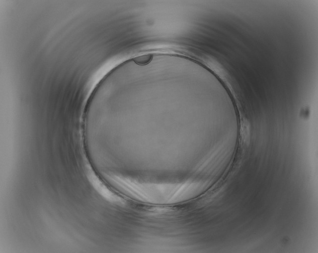 X0000113231482200910011357