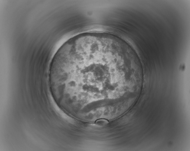 X0000113231483200910011357