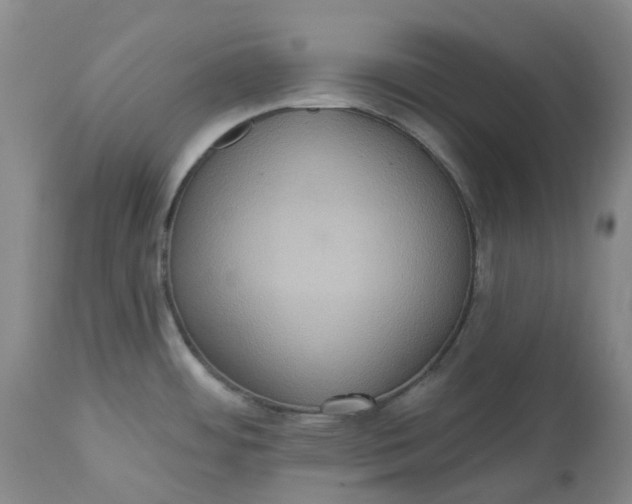 X0000113231484200910011357