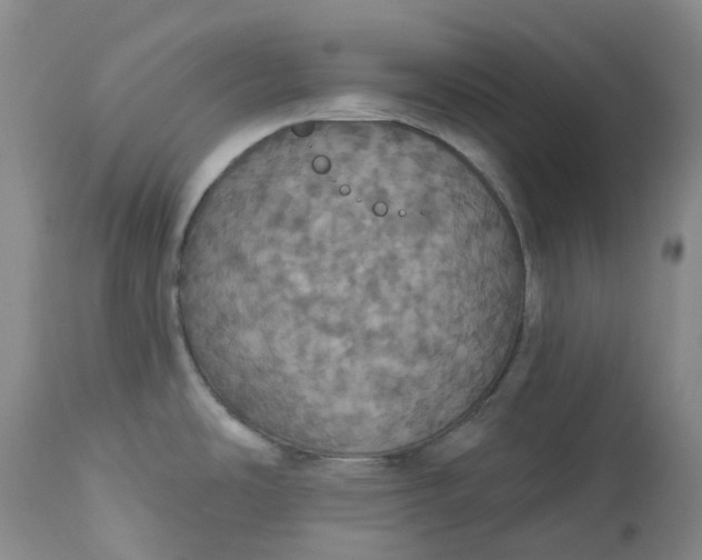 X0000113231486200910011357