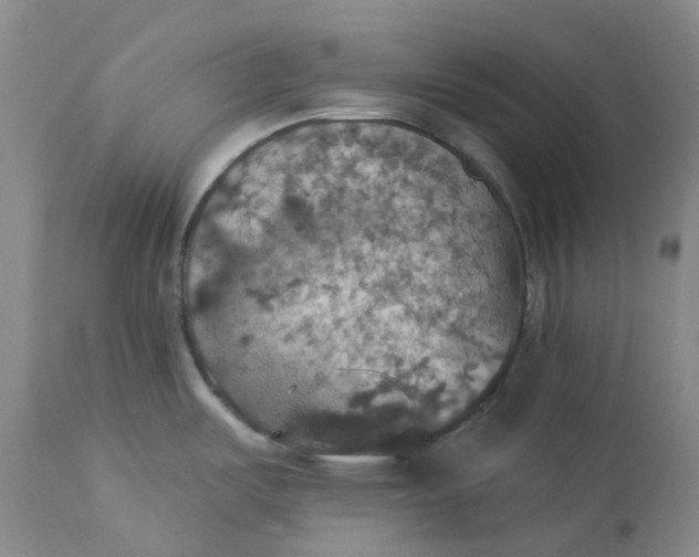 X0000113231487200910011357