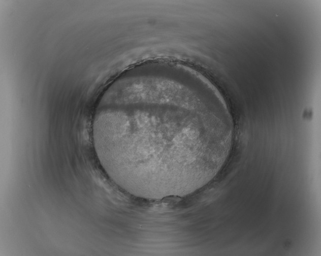 X0000113231490200910011357