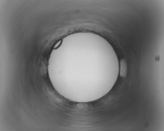 X0000113231491200910011357