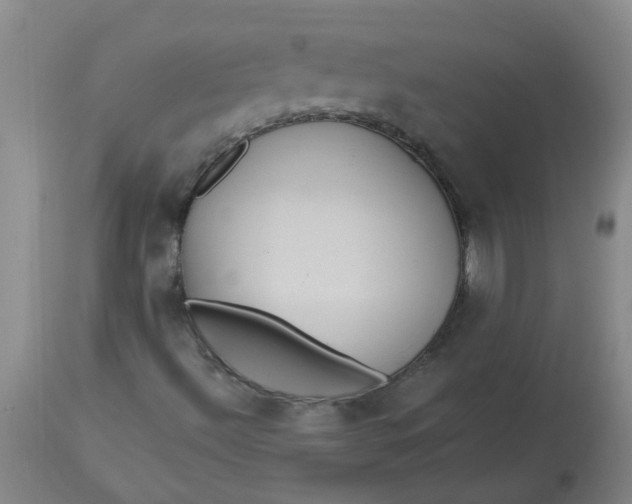 X0000113231492200910011357