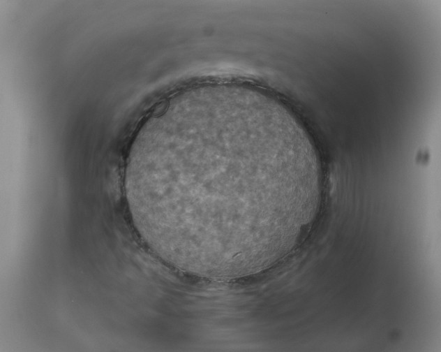 X0000113231493200910011357