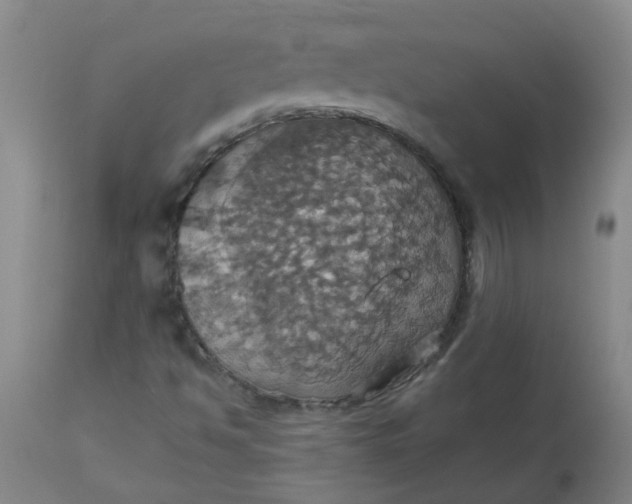 X0000113231494200910011357