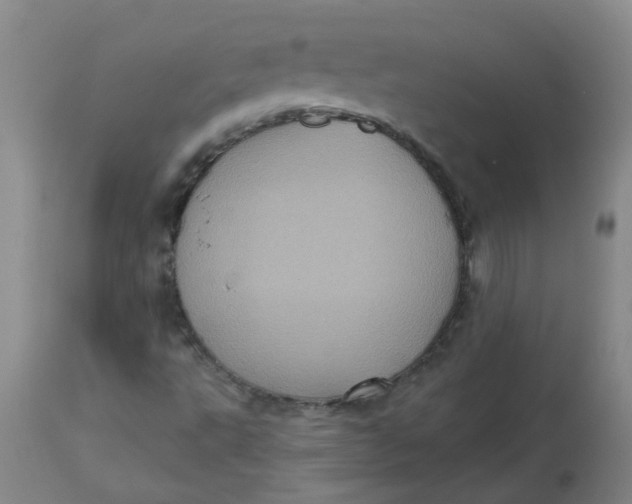 X0000113231495200910011357