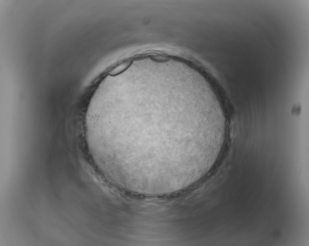 X0000113231496200910011357