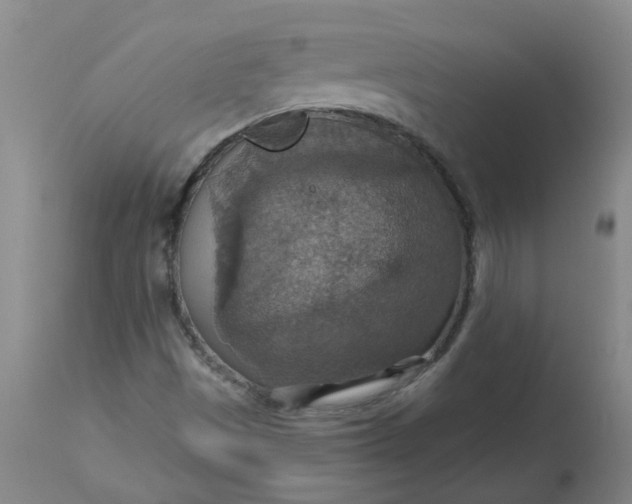 X0000113231497200910011357