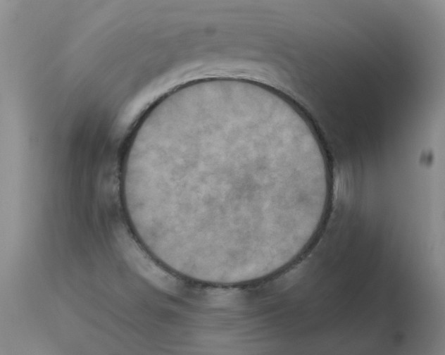 X0000113231498200910011357