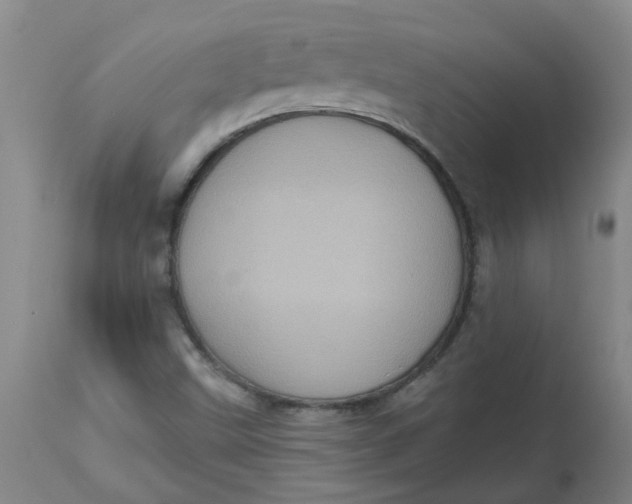 X0000113231499200910011357