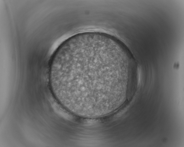 X0000113231501200910011357