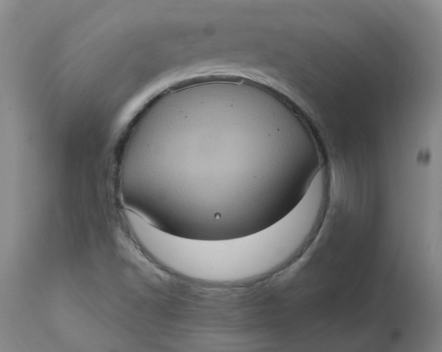 X0000113231502200910011357