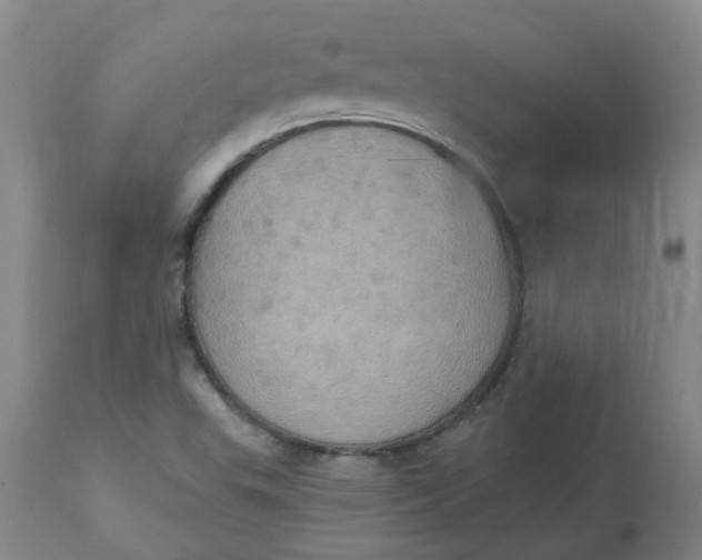 X0000113231503200910011357