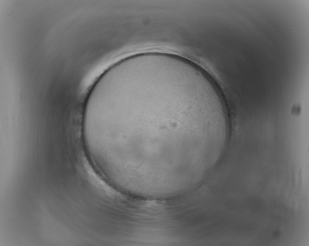 X0000113231504200910011357