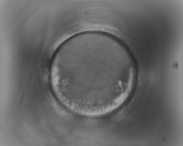 X0000113231505200910011357