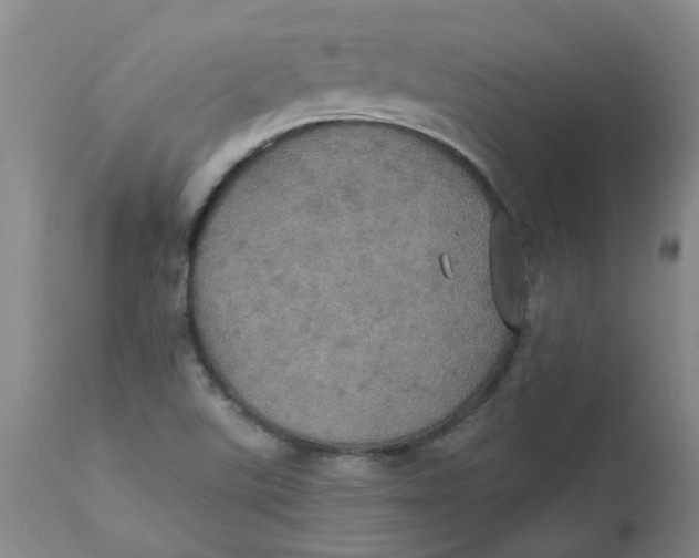 X0000113231507200910011357