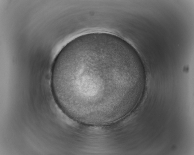 X0000113231508200910011357