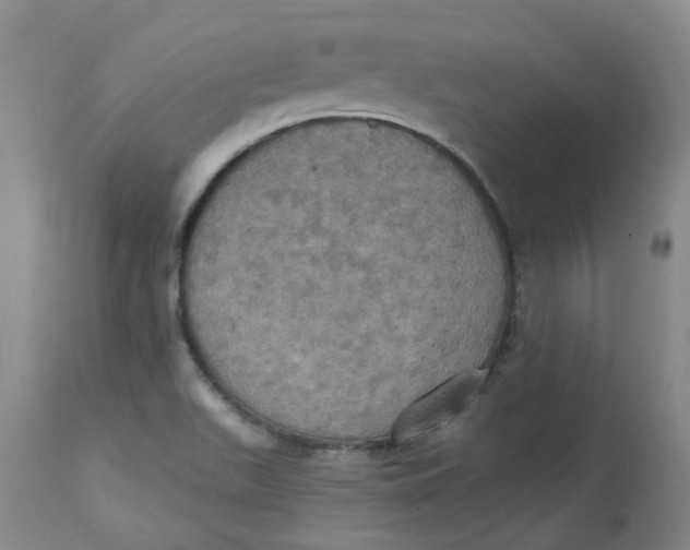 X0000113231511200910011357