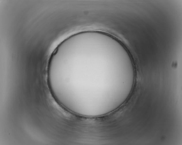 X0000113231512200910011357