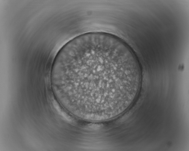 X0000113231513200910011357