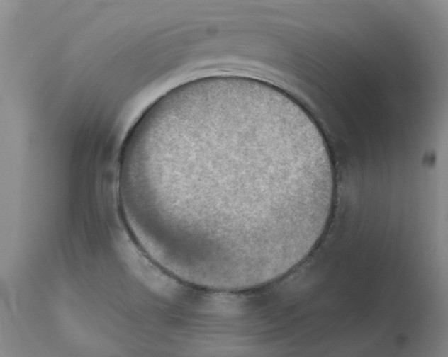 X0000113231514200910011357