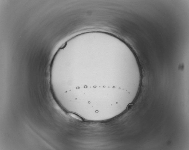 X0000113231516200910011357