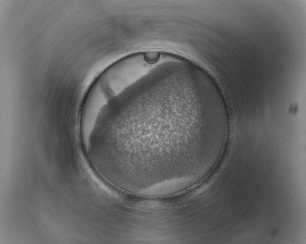 X0000113231517200910011357