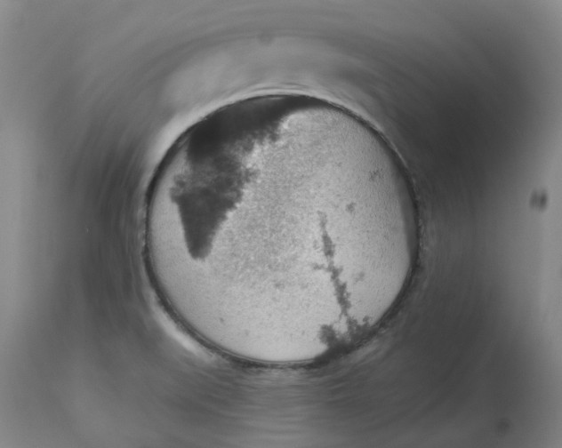 X0000113231519200910011357