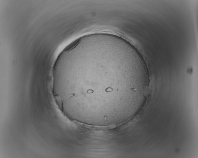 X0000113231520200910011357