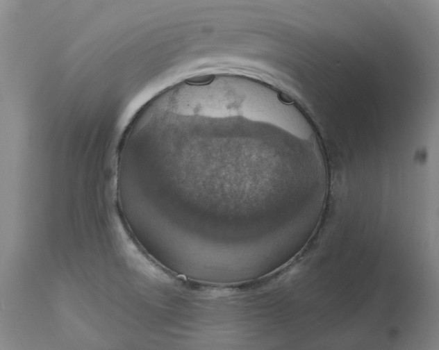 X0000113231522200910011357