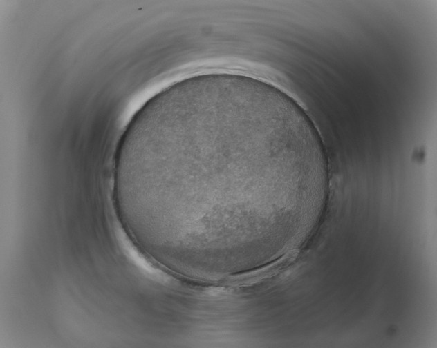 X0000113231523200910011357