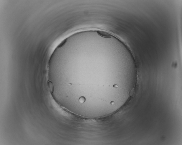 X0000113231524200910011357